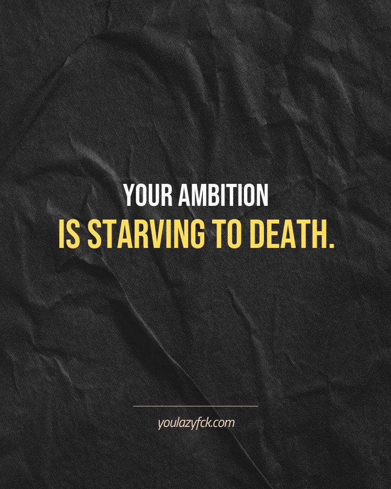 Your ambition is starving to death.

Brutally honest motivation for your no-excuses mindset. This quote is part productivity slap, part wake-up call. Whether you're into funny quotes, self-respect, or just tired of sugarcoated advice – this hits.

Find more verbal kicks at YOULAZYFCK.COM

#motivation #brutaltruth #funnyquotes #honestmotivation #noexcuses #selfrespect